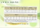 벼의 줄기의 생장 15페이지