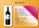 남아메리카 6페이지