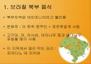 남아메리카 15페이지