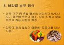 남아메리카 18페이지