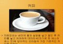 남아메리카 20페이지
