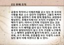 체육행정관리과정2 23페이지