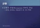 제1편 미시경제학 입문 - 제1장 미시경제학의 성격 15페이지