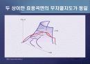 제2편 소비자이론 - 제4장 소비자의 선호체계 16페이지