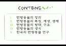 편형동물 2페이지
