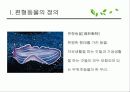 편형동물 3페이지