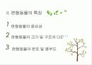 편형동물 5페이지