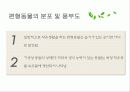 편형동물 8페이지