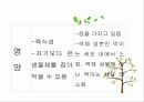 편형동물 15페이지