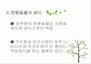 편형동물 16페이지