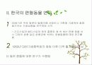 편형동물 18페이지
