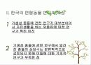 편형동물 19페이지
