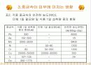환경분석화학 화장품 중금속-중금속이 인체에 미치는 영향 11페이지