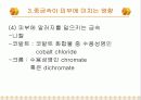 환경분석화학 화장품 중금속-중금속이 인체에 미치는 영향 16페이지
