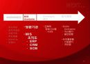 화장품기업 방문 MIS분석자료 dodo 발표 12페이지