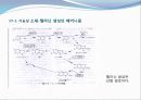 1강-기능성 화장품학 개론 19페이지