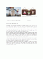 루이비통(루이뷔통 ; 루이비똥/ louisvuitton) STP 전략 11페이지
