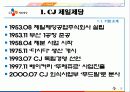 CJ제일제당 브랜드 확장사례 3페이지