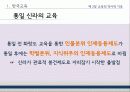 교육의 역사적 기초 12페이지