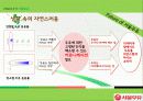 The Freshness 서울우유 31페이지