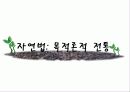 윤리 이론과 환경 14페이지