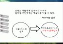 팝아트와 키치문화 현상해독 14페이지