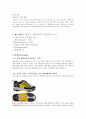 힐리스 (Heelys) 5페이지