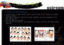 한국씨름,마케팅,브랜드,브랜드마케팅,기업,서비스마케팅,글로벌,경영,시장,사례,swot,stp,4p 19페이지