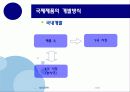 국제제품전략 12페이지