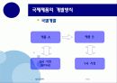 국제제품전략 14페이지