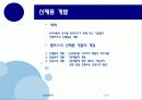 국제제품전략 16페이지