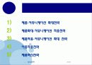 국제제품전략 28페이지