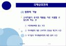 국제제품전략 33페이지