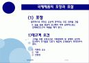 국제제품전략 47페이지