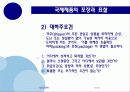 국제제품전략 48페이지