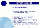 국제제품전략 49페이지