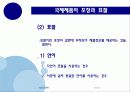 국제제품전략 50페이지