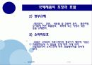 국제제품전략 51페이지