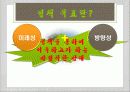 정책의_유형,마케팅,브랜드,브랜드마케팅,기업,서비스마케팅,글로벌,경영,시장,사례,swot,stp,4p 20페이지