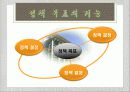 정책의_유형,마케팅,브랜드,브랜드마케팅,기업,서비스마케팅,글로벌,경영,시장,사례,swot,stp,4p 23페이지