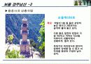 세계유산,인류의 무형유산,세계의 기록유산,마케팅,브랜드,브랜드마케팅,기업,서비스마케팅,글로벌,경영,시장,사례,swot,stp,4p 11페이지
