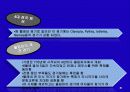 아테네 체육 32페이지