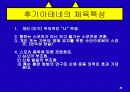 아테네 체육 37페이지