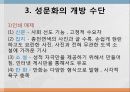 현대의 성문화,마케팅,브랜드,브랜드마케팅,기업,서비스마케팅,글로벌,경영,시장,사례,swot,stp,4p 5페이지
