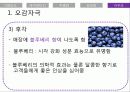 [브랜드마케팅] 새로운 나를 찾아서 - Eye need U(아이니쥬) 38페이지