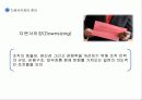 성과주의와 다운사이징 43페이지