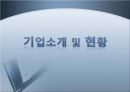 Logitech_마케팅,브랜드,브랜드마케팅,기업,서비스마케팅,글로벌,경영,시장,사례,swot,stp,4p 3페이지