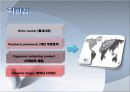 Logitech_마케팅,브랜드,브랜드마케팅,기업,서비스마케팅,글로벌,경영,시장,사례,swot,stp,4p 6페이지