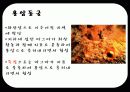 [관광학원론] 동굴 5페이지