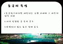 [관광학원론] 동굴 11페이지